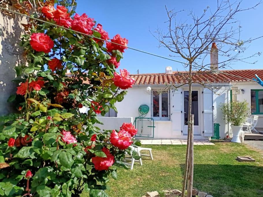 Вилла La Maison Du Marin Сен-Жиль-Круа-де-Ви Экстерьер фото